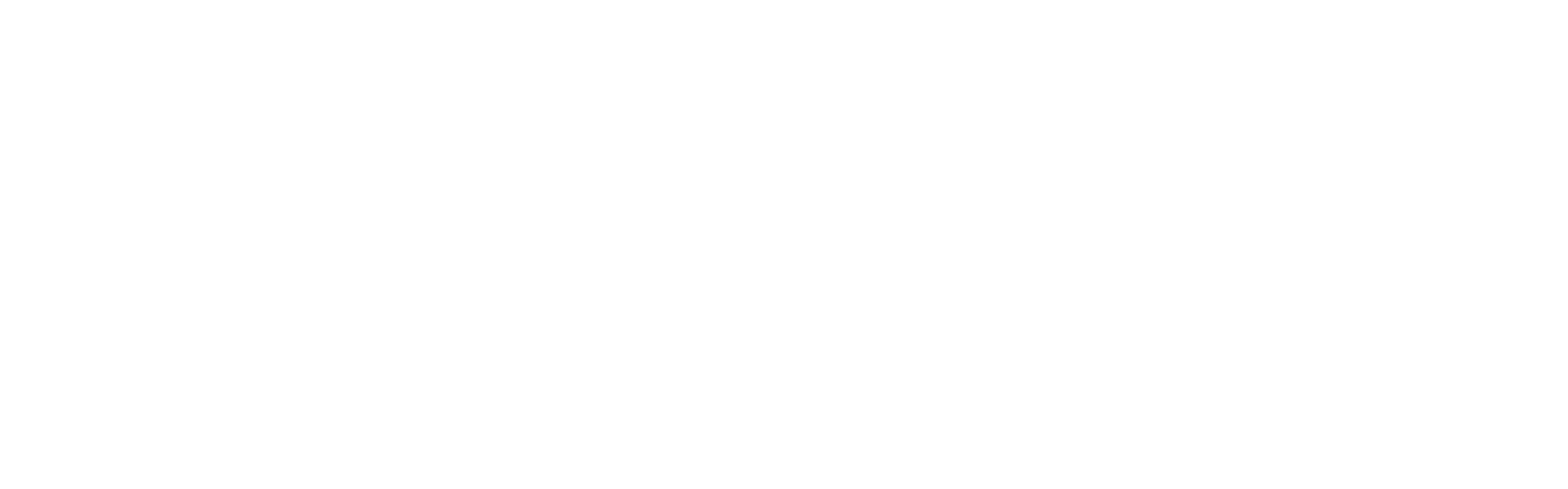 ZDM — Zelvior Download Manager logo